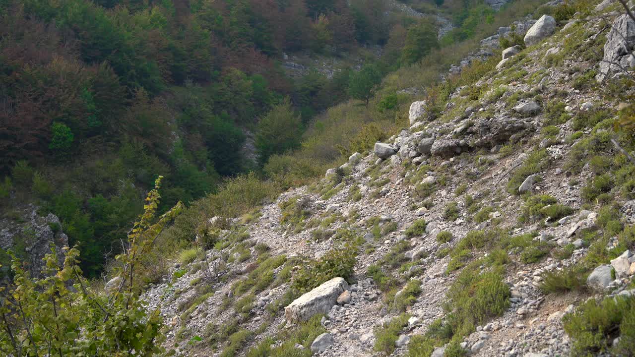 背着双肩包，拄着登山杖的徒步旅行者在山上行走。视频下载