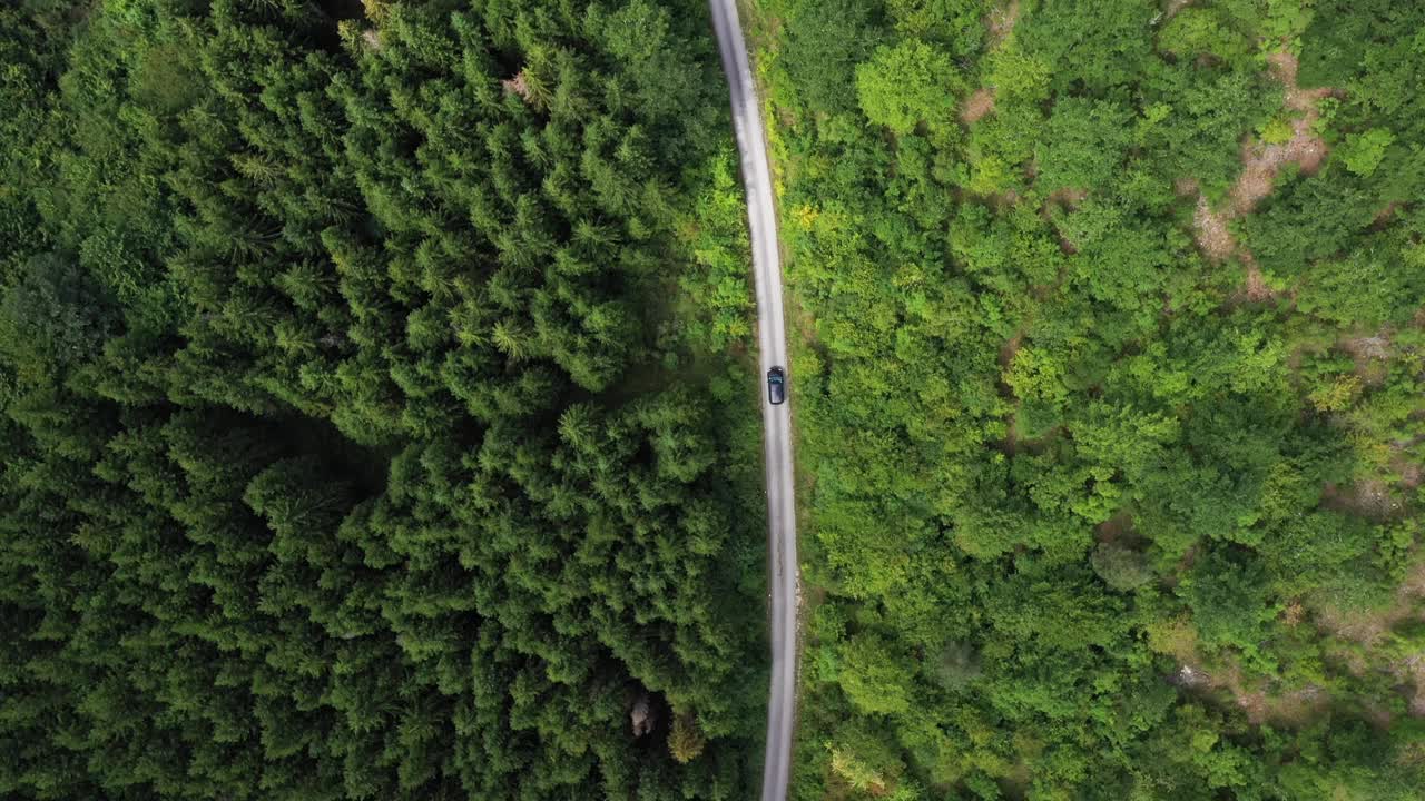 穿越森林的公路旅行视频素材