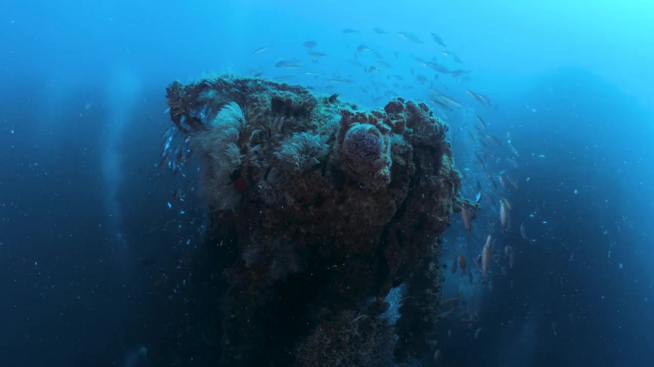 水下画面显示，一艘色彩斑斓的沉船，成群的鱼在为潜水者准备的人工礁石的生锈金属上方游动视频素材