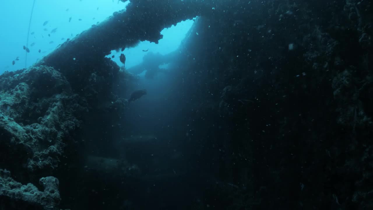 独特的水肺潜水员在阳光穿透的水下沉船内游泳。视频素材