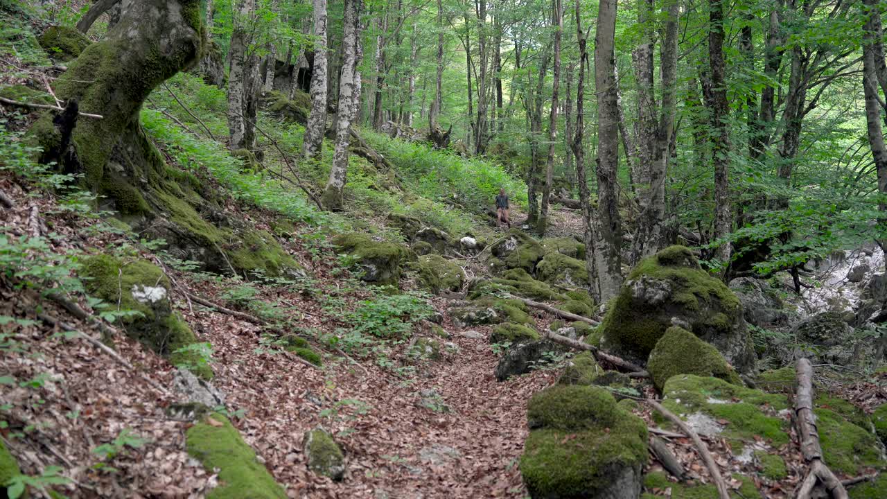 旅游者，徒步旅行者，背着背包，走在山森林与岩石。视频素材