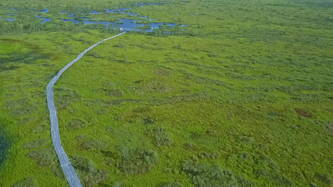 俯视图的沼泽景观。湖沼泽鸟瞰图。环境预订概念。视频素材