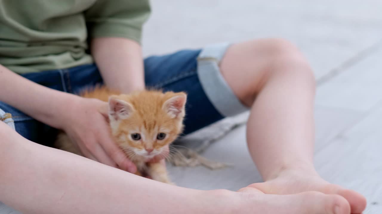 小男孩在家里的地板上玩姜小猫红丝带。孩子和动物的友谊，朋友和照顾猫视频素材