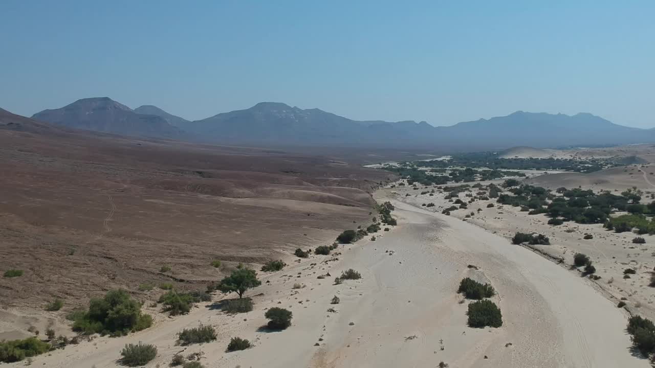 沙地干宽河床在北纳米比亚充满了大的绿树相机显示高角度的干河床航拍视频视频素材