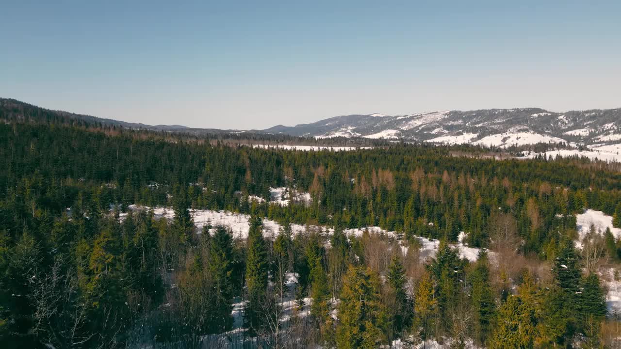 冬天在森林上空飞行。在一个阳光灿烂、霜冻的早晨，白雪覆盖的树和圣诞树。冬天美丽的山景视频素材