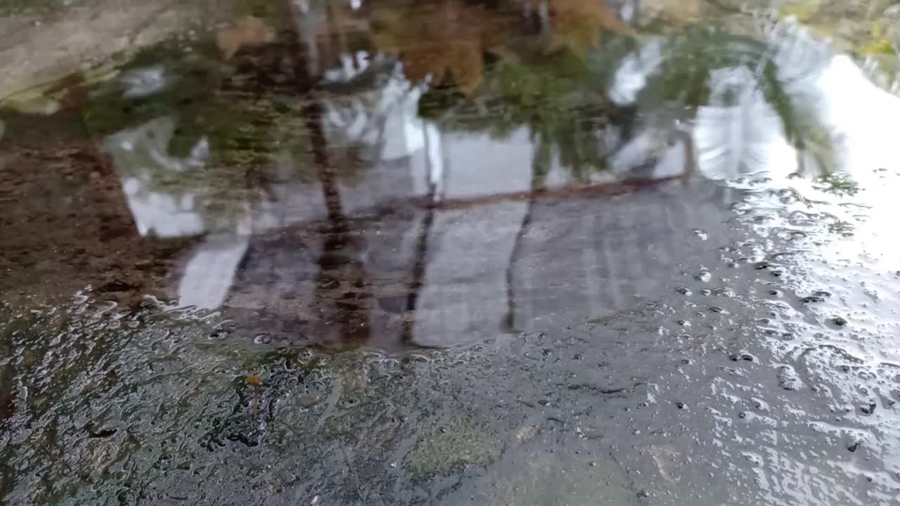 雨点落在地板上视频素材