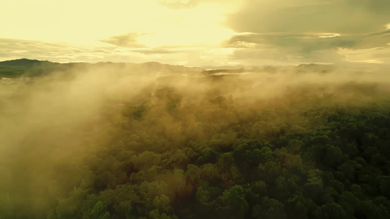 鸟瞰无人机拍摄的流动的雾波在山区热带雨林在晚上，鸟瞰图像在云上惊人的自然背景与云和山峰。视频素材