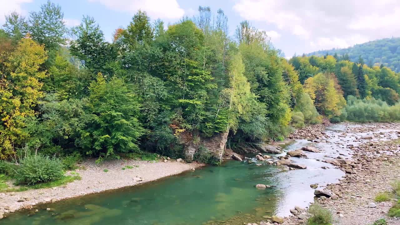 在乌克兰喀尔巴阡山脉，秋天的山河在美丽的森林中流淌视频素材