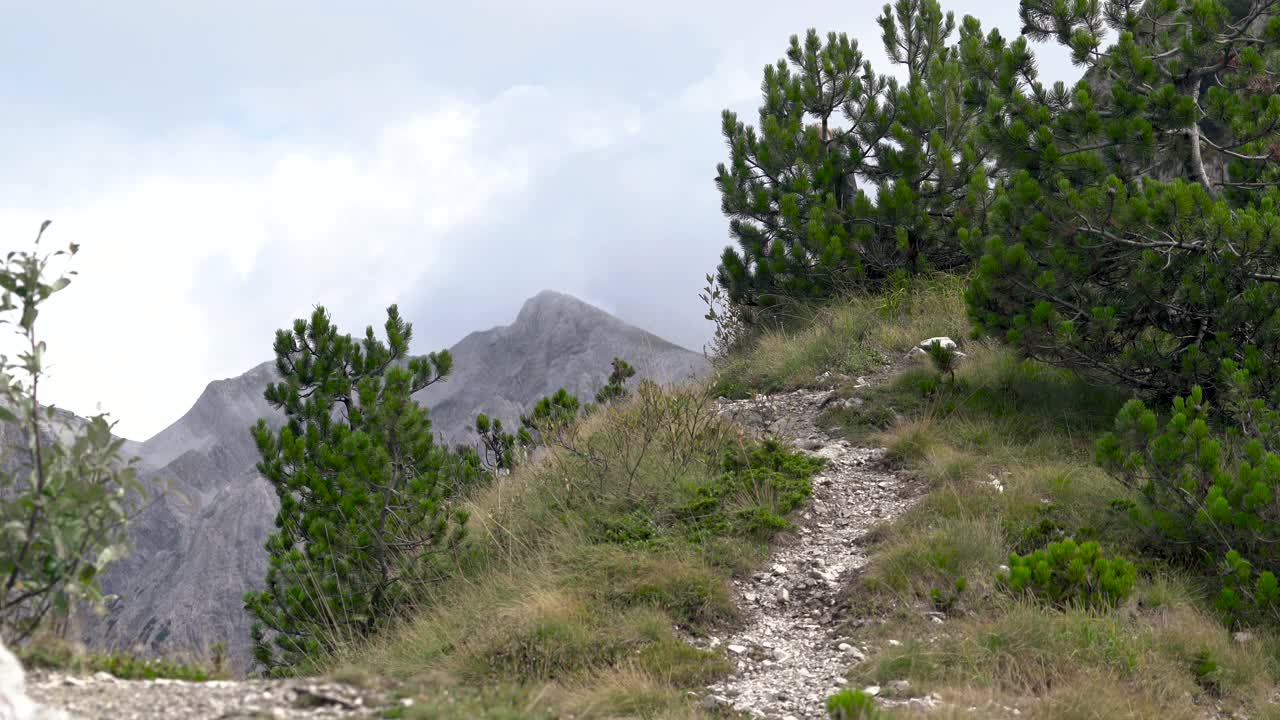 年轻的徒步旅行者沿着石径从山上走下来。视频下载