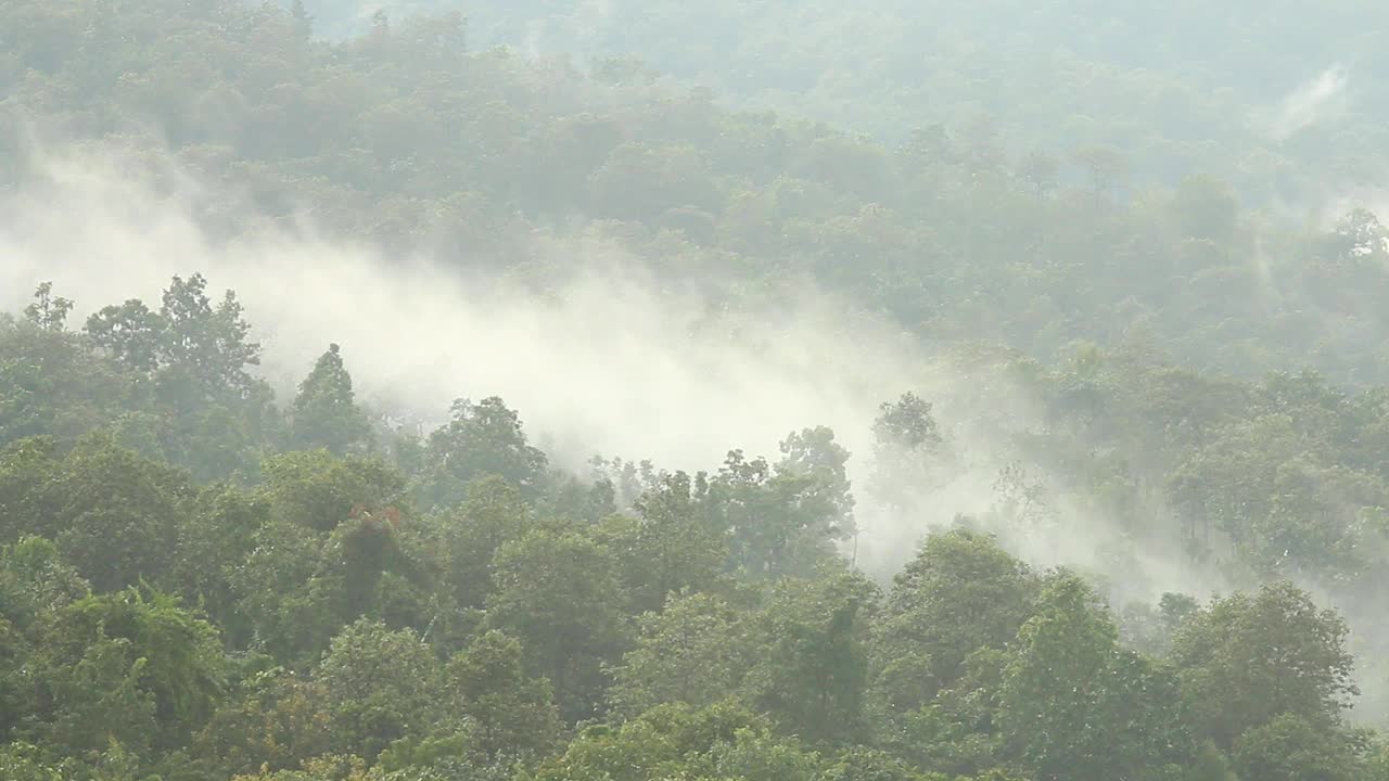 雾在山上移动视频素材