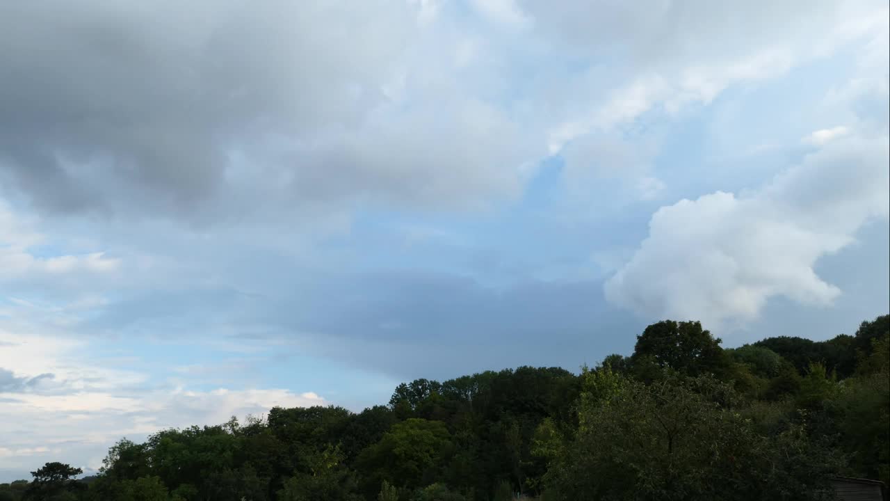 森林上空的积雨云。视频素材