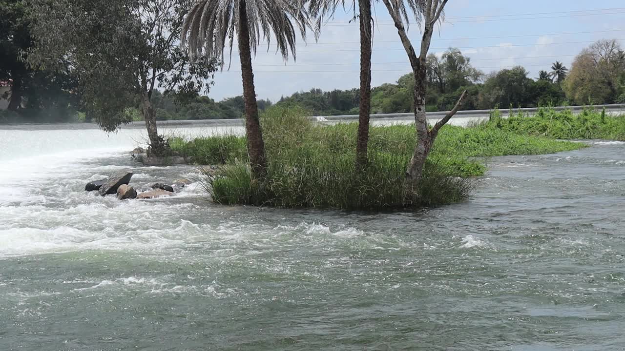 河流流水落水的自然现象视频素材