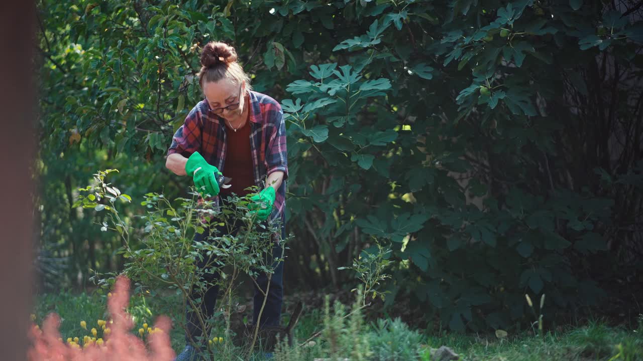 快乐美丽的成熟女人在园艺手套在花园工作视频素材