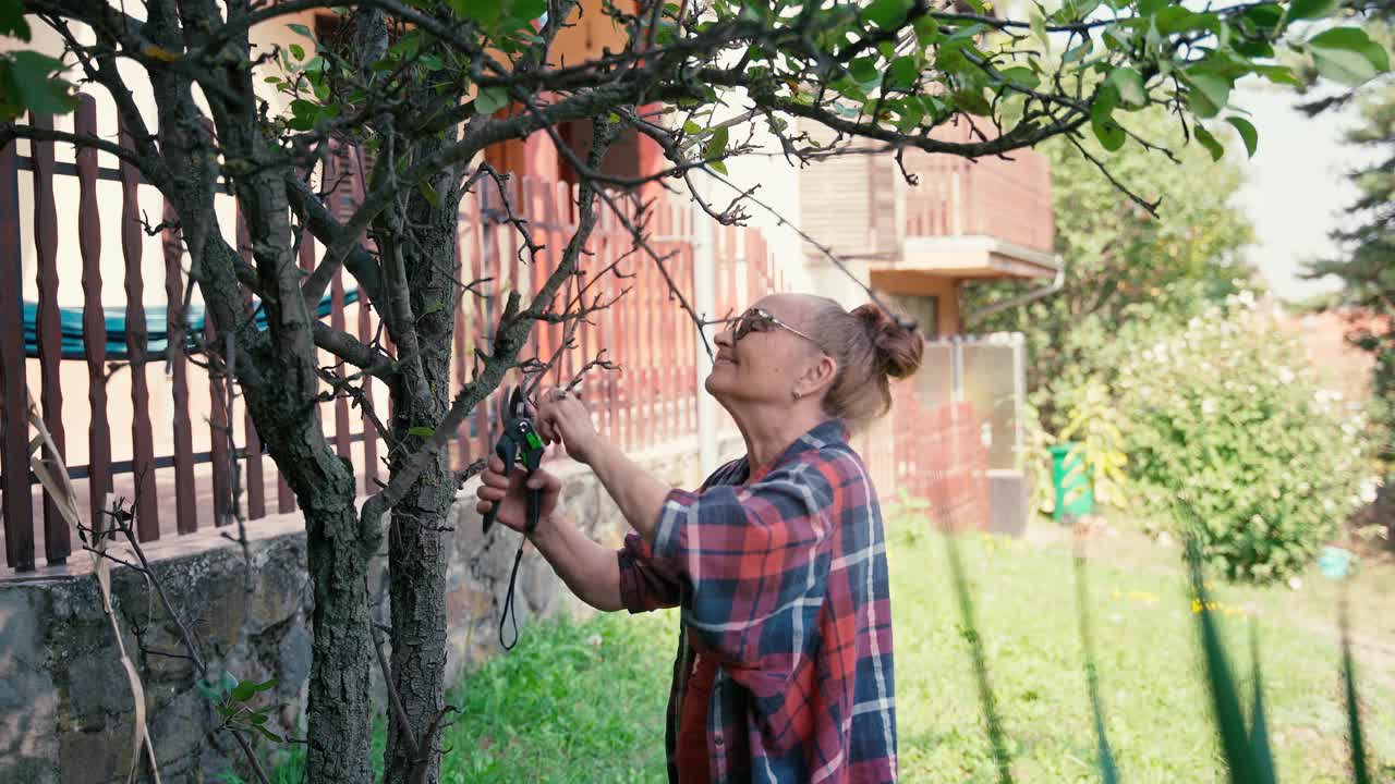 快乐美丽的成熟女人戴着眼镜在花园里工作，剪干树枝视频素材