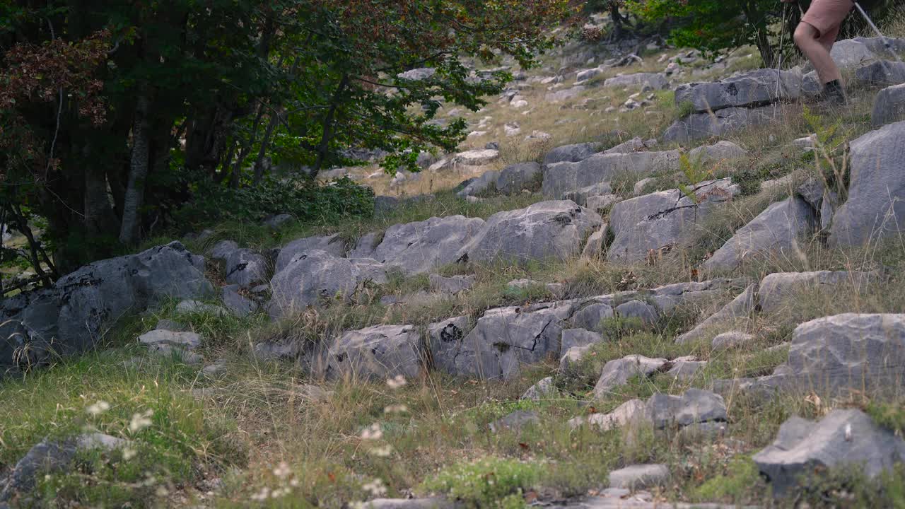 一名徒步旅行者拿着登山杖和他的狗在山上行走。视频下载