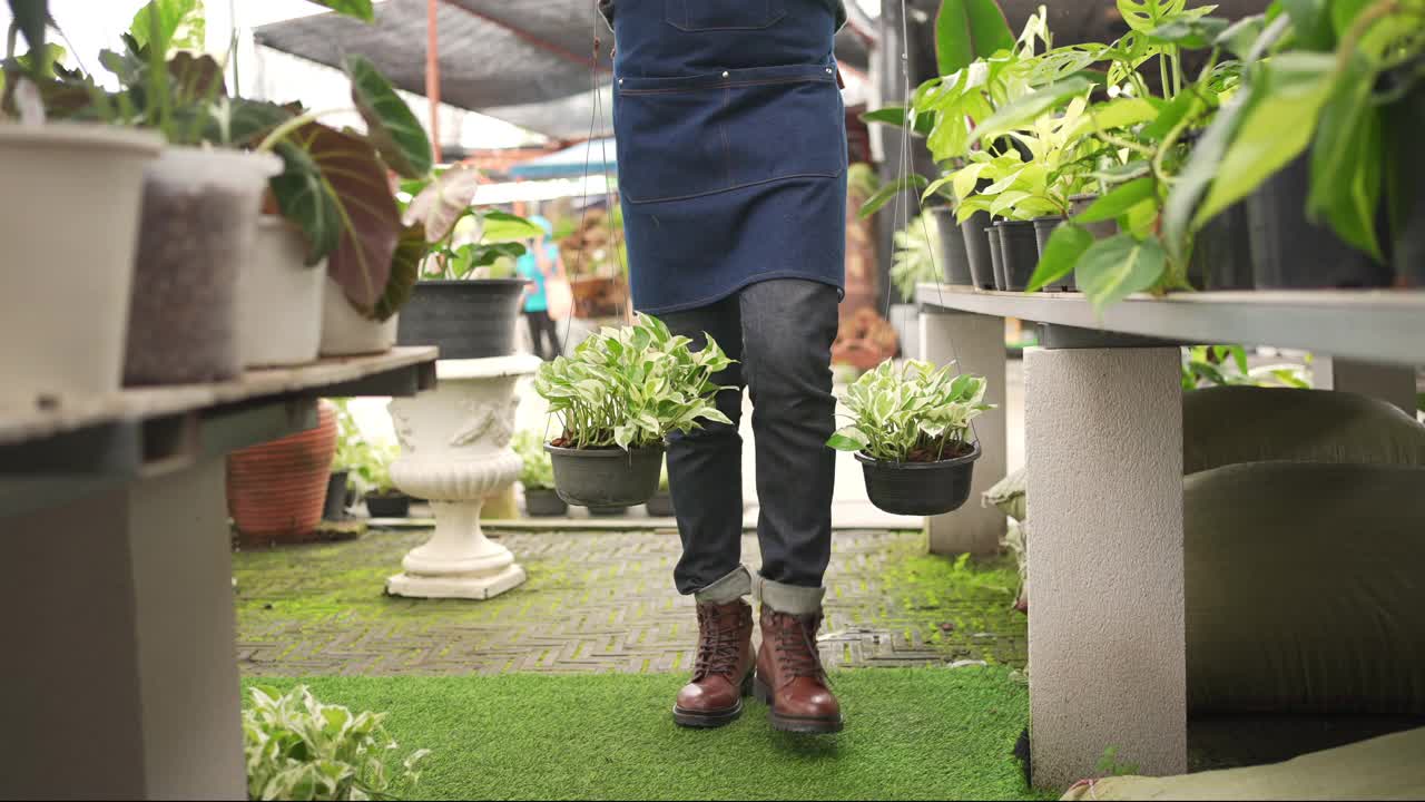 4K亚洲男人植物商店老板照顾植物和花卉在温室花园。视频素材