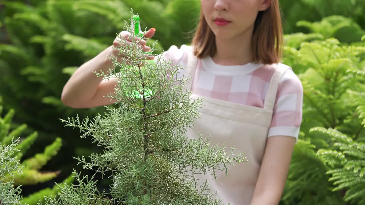 4K亚洲女人植物商店老板照顾植物和花卉在温室花园。视频素材