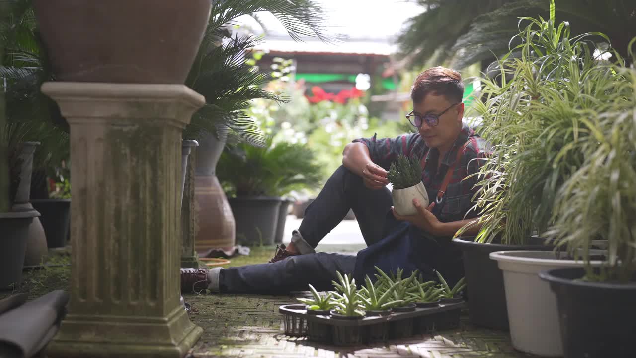 4K亚洲男人植物商店老板照顾植物和花卉在温室花园。视频素材