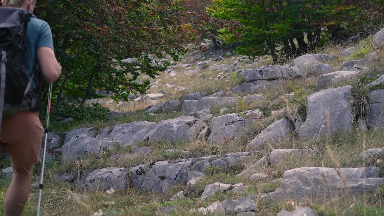 一名徒步旅行者拿着登山杖和他的狗在山上行走。视频下载