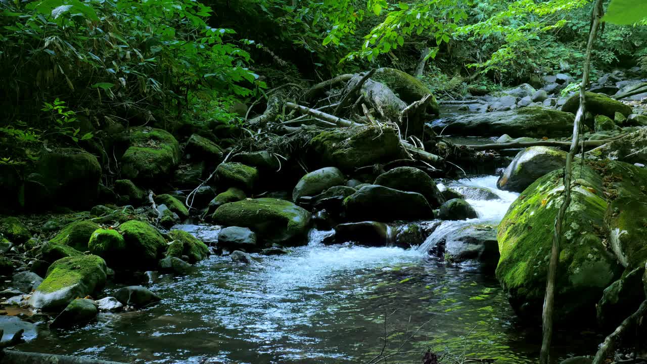 高山流水,日本北海道视频素材