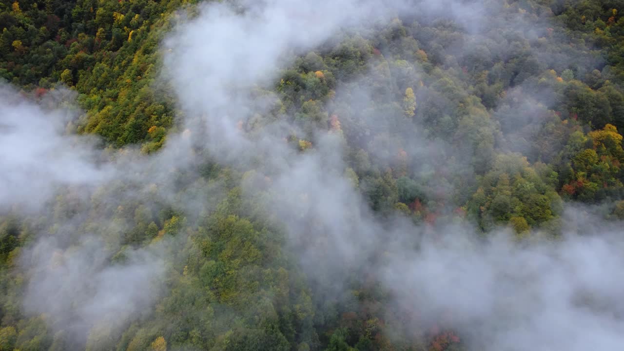 山坡上的雾和秋天的色彩视频素材