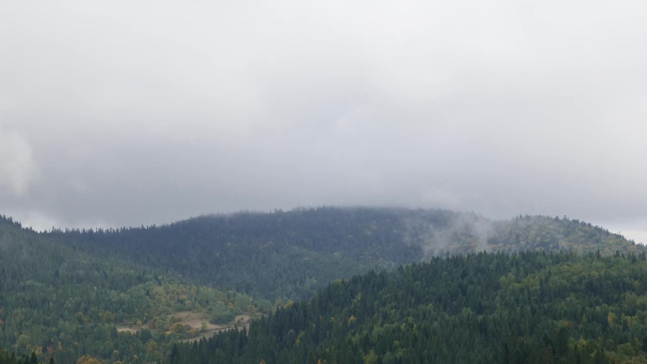 清晨雾蒙蒙的山景。松林与雾山，时光流逝视频素材