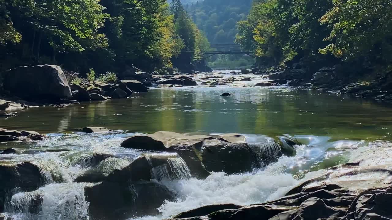 在乌克兰喀尔巴阡山脉，秋天的山河在美丽的森林中流淌视频素材