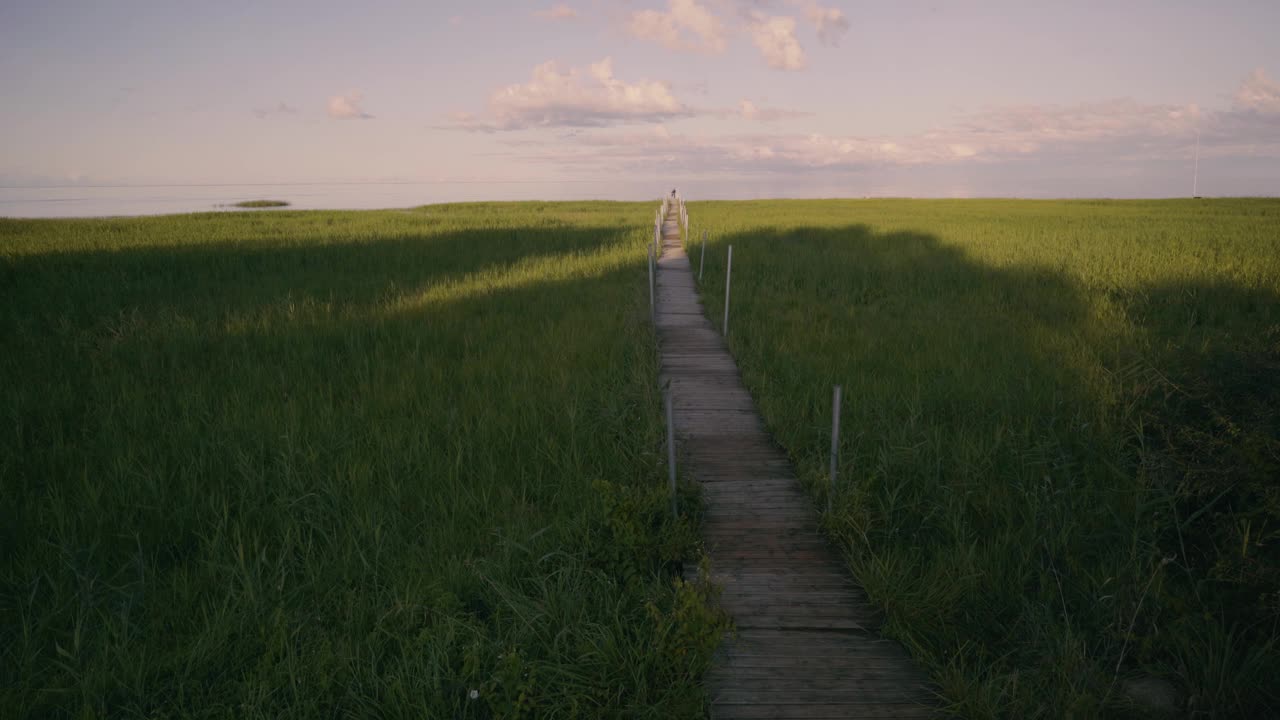 走在波罗的海绿草如茵的木桥上视频素材