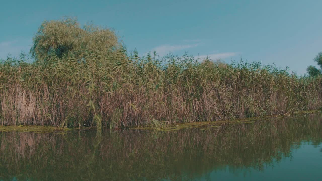 多瑙河三角洲保留航道视频素材