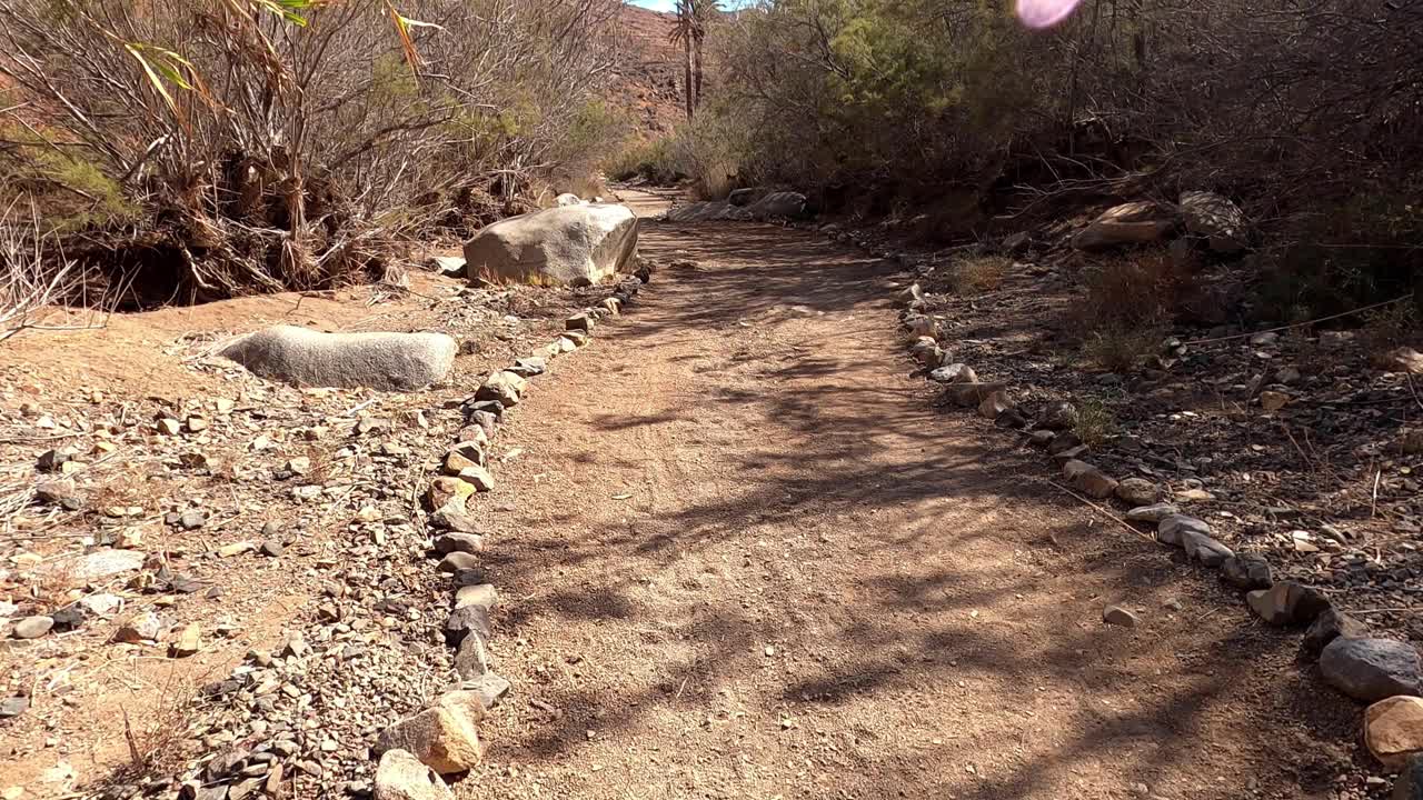 贝塔库利亚山谷的土路，周围是野生的大自然视频素材