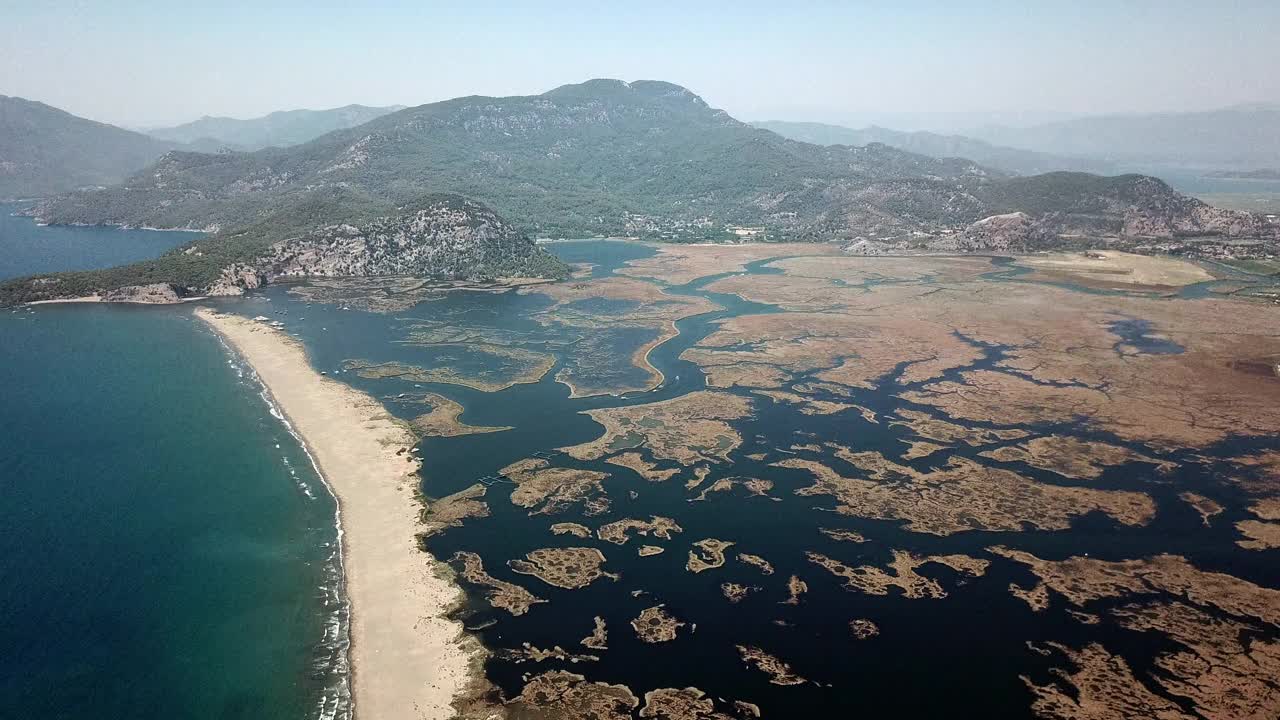 红海龟产卵地;Iztuzu海滩。它以蓝蟹和金沙而闻名。在Dalyan三角洲附近。视频素材