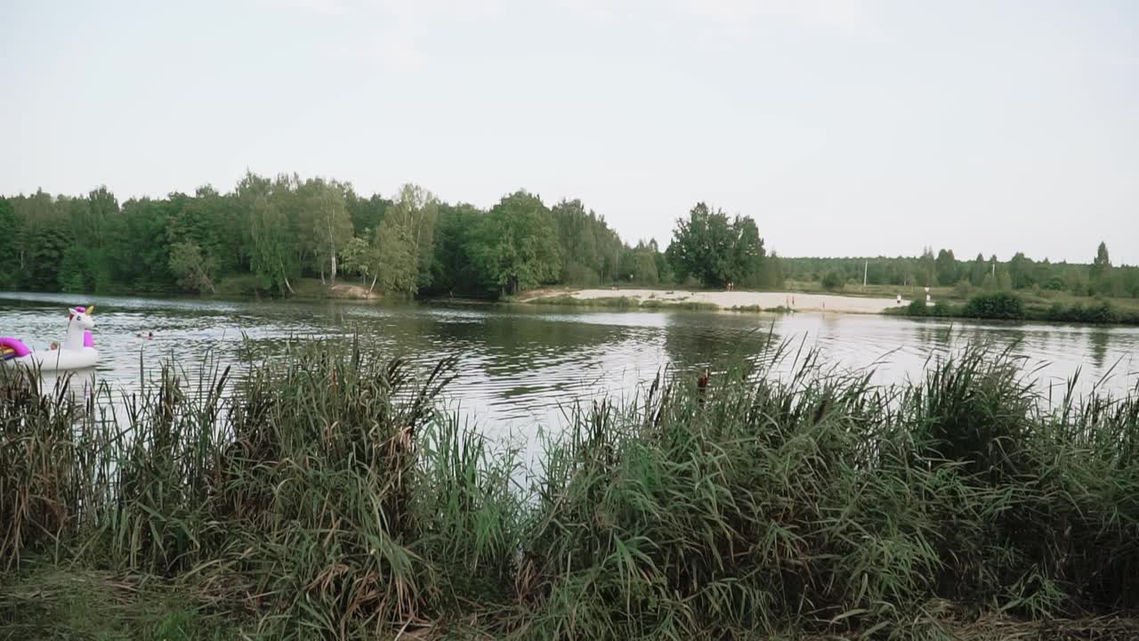 乡村夏天的风景与绿树和一个池塘在晚上视频素材