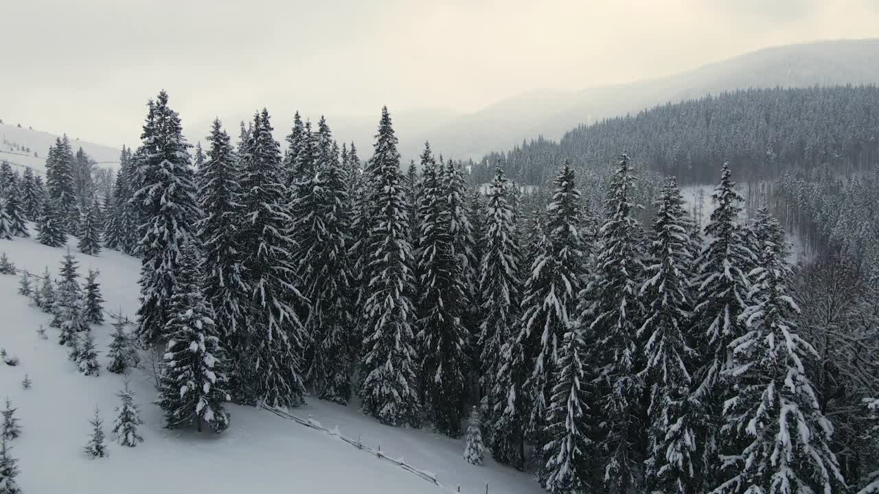 空中冬季景观与小乡村房屋之间的雪覆盖森林在寒冷的山。视频素材