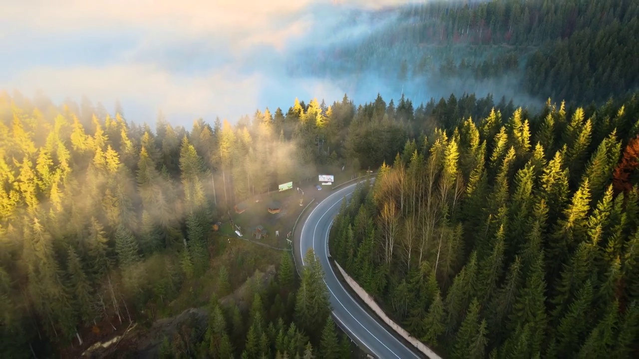 鸟瞰图在常绿森林与绿色的松树之间的弯曲的道路在夏季的山。视频素材