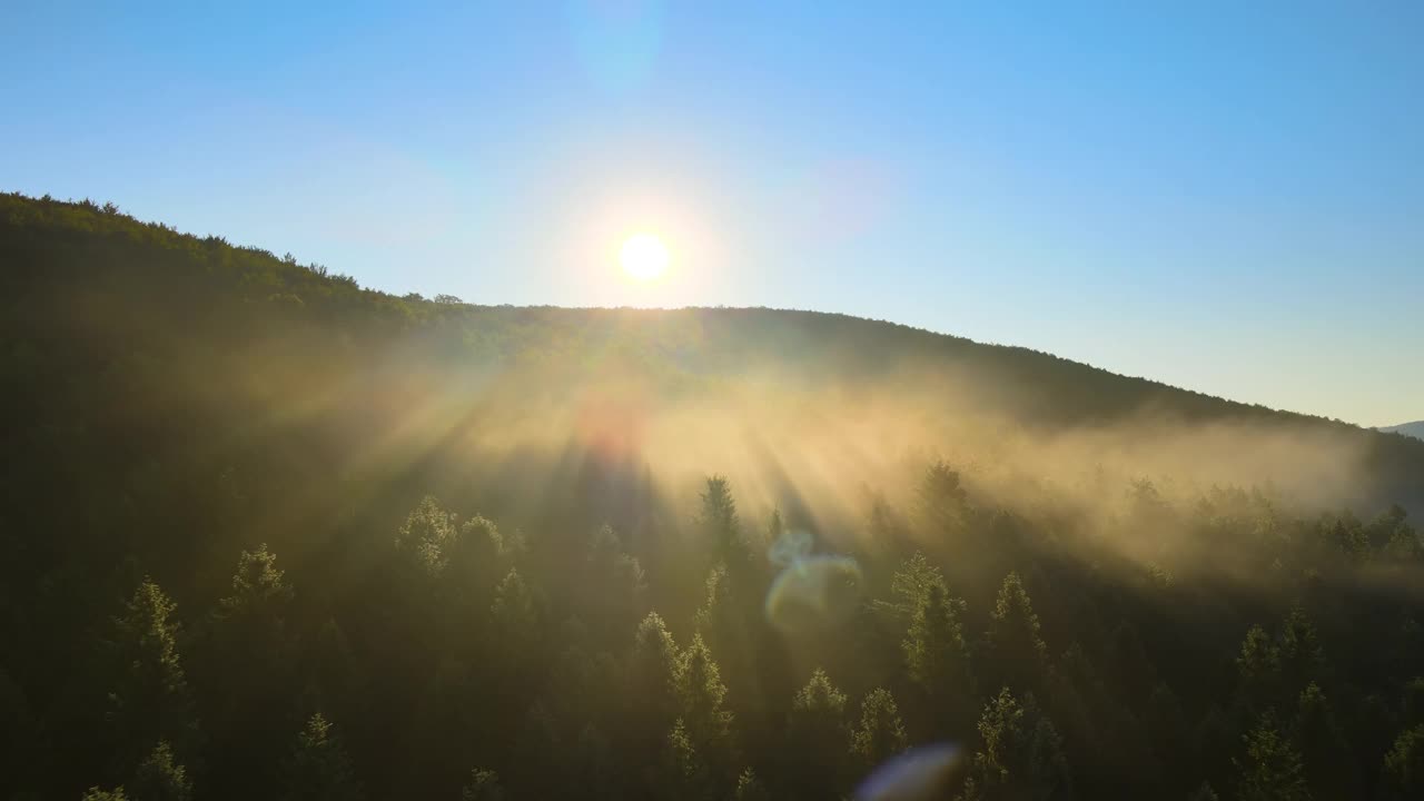 在明亮的夏季日落时，充满活力的雾霭的黄昏笼罩着黑暗的森林树木。令人惊叹的野生林地的黄昏景色。视频素材