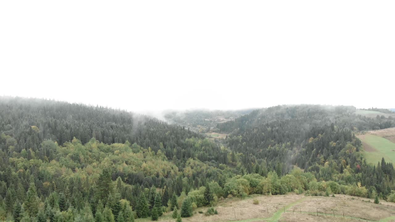 雾山。雨后的山林。美丽的田园诗般的绿色自然草地在山上。喀尔巴阡人在雾蒙蒙的早晨。史诗农村景观视频素材