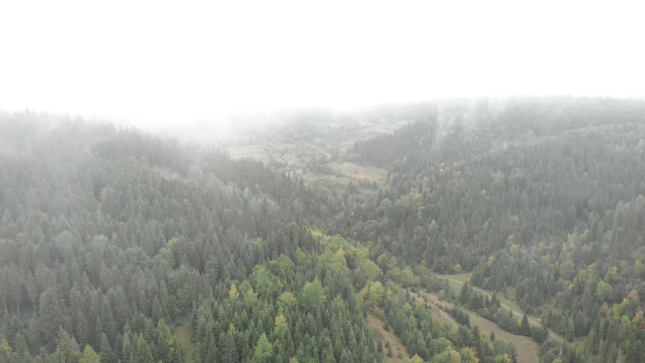 雾缭绕山林。山林中的松树。美丽的秋山在雾蒙蒙的雨天的早晨。野生自然。田园风景视频素材