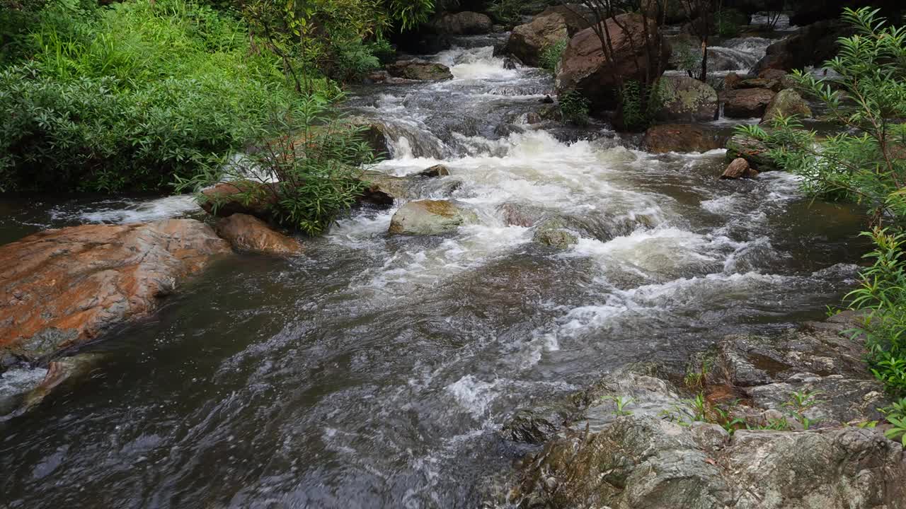 雨林里流动的溪水视频素材