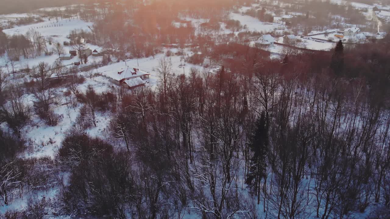 大雪纷飞的冬季森林景色覆盖着冷杉树视频素材