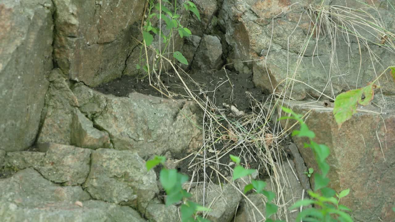 近距离观察岩石表面。原始花岗岩纹理视频素材