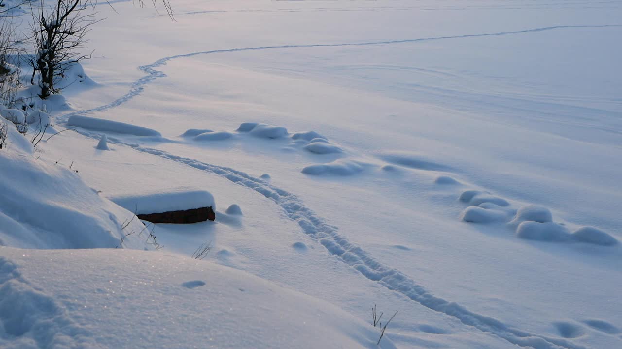 冬天的风景——公园里白雪覆盖着美丽的树木，覆盖着白霜。视频素材