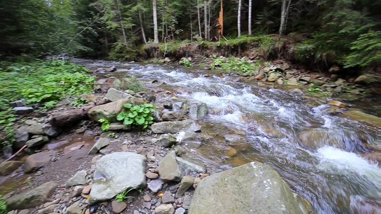 快速流动的水在山区森林河流视频素材