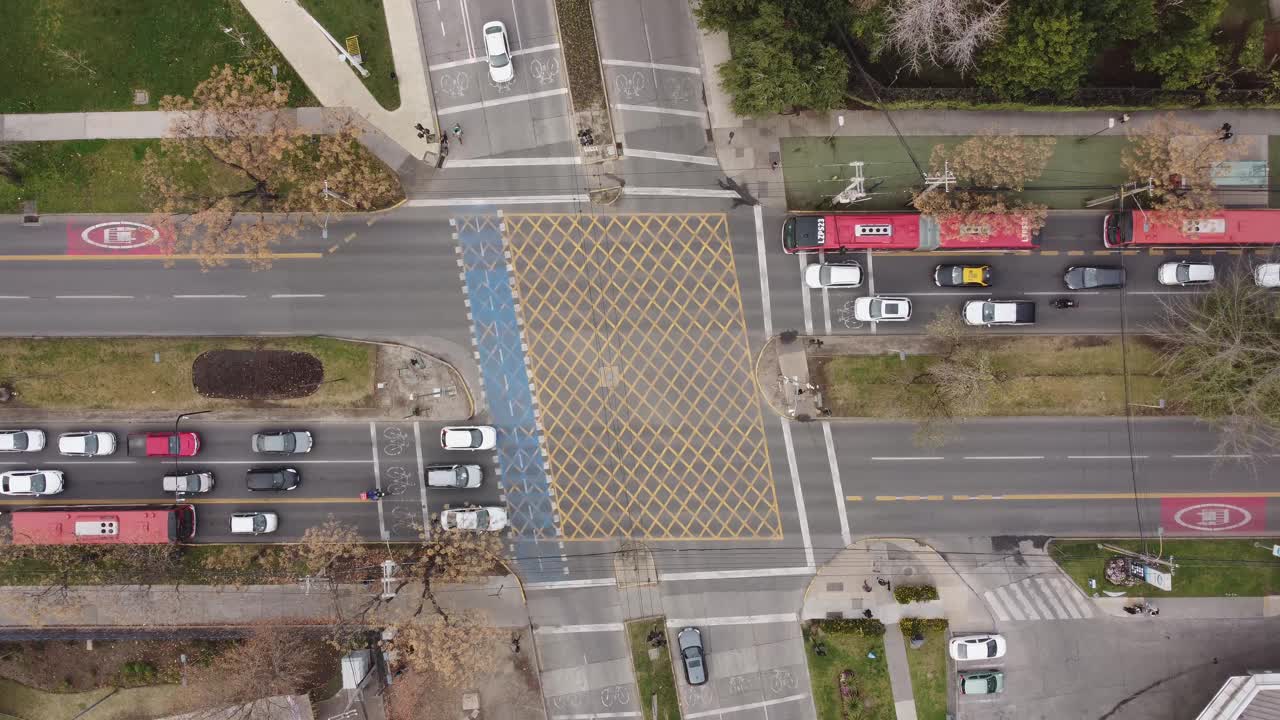 林荫道交叉路口鸟瞰图视频素材