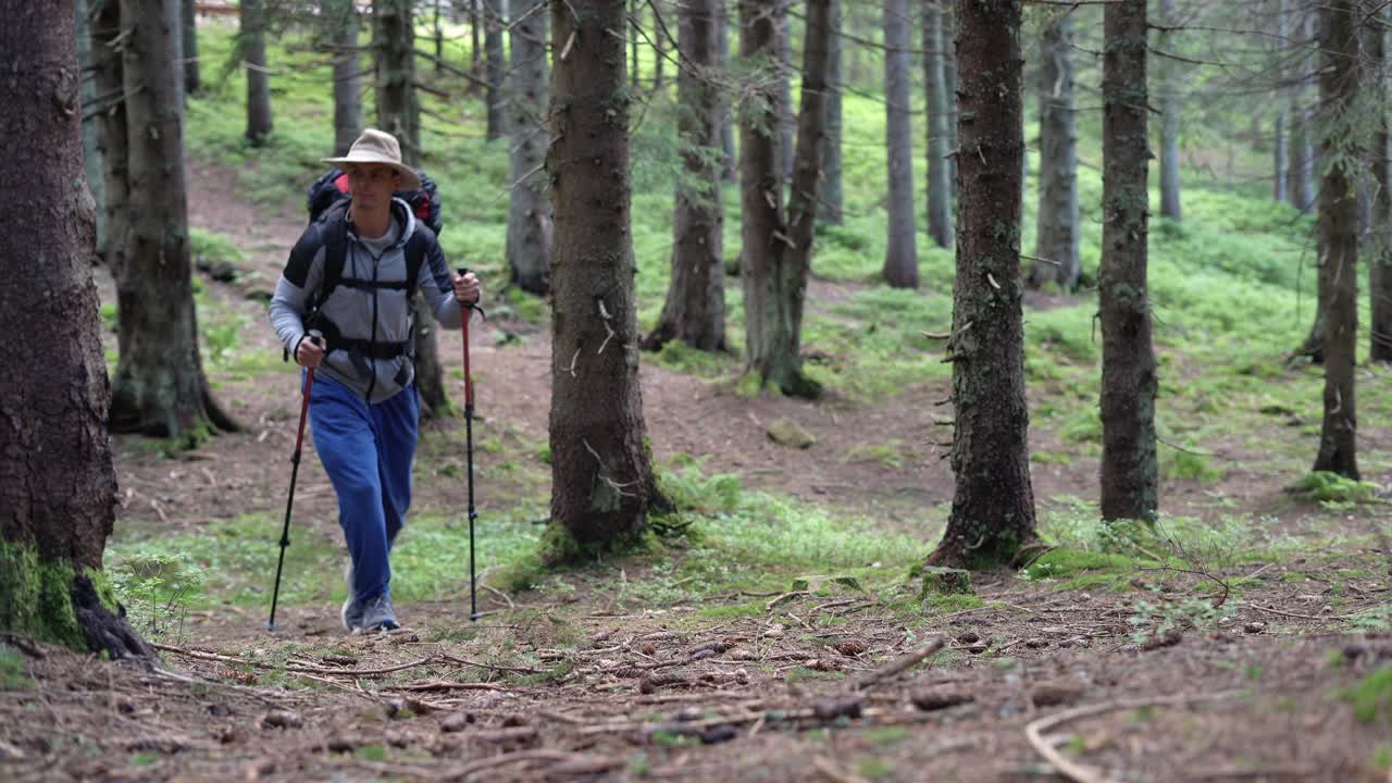 一个旅行者背着徒步旅行背包沿着森林小径行走。一名拄着拐杖的游客穿过森林。徒步上山。视频素材