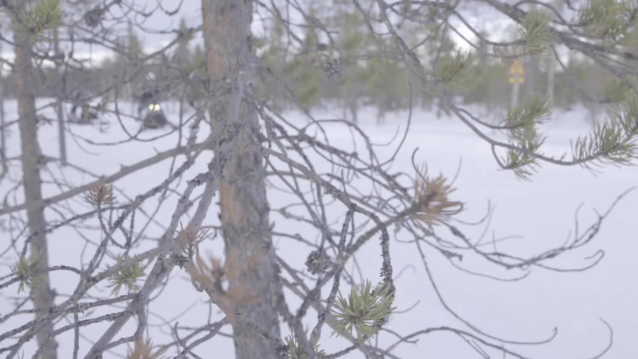 雪地摩托穿过森林小路视频素材