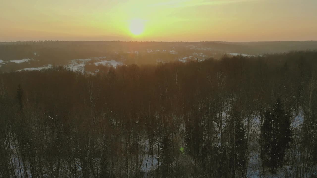 在一场大雪中，松树林被大雪覆盖视频素材