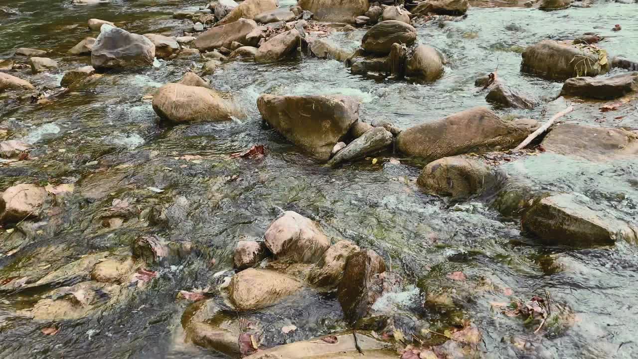 在乌克兰喀尔巴阡山脉，秋天的山河在美丽的森林中流淌。自然和旅游的概念视频素材