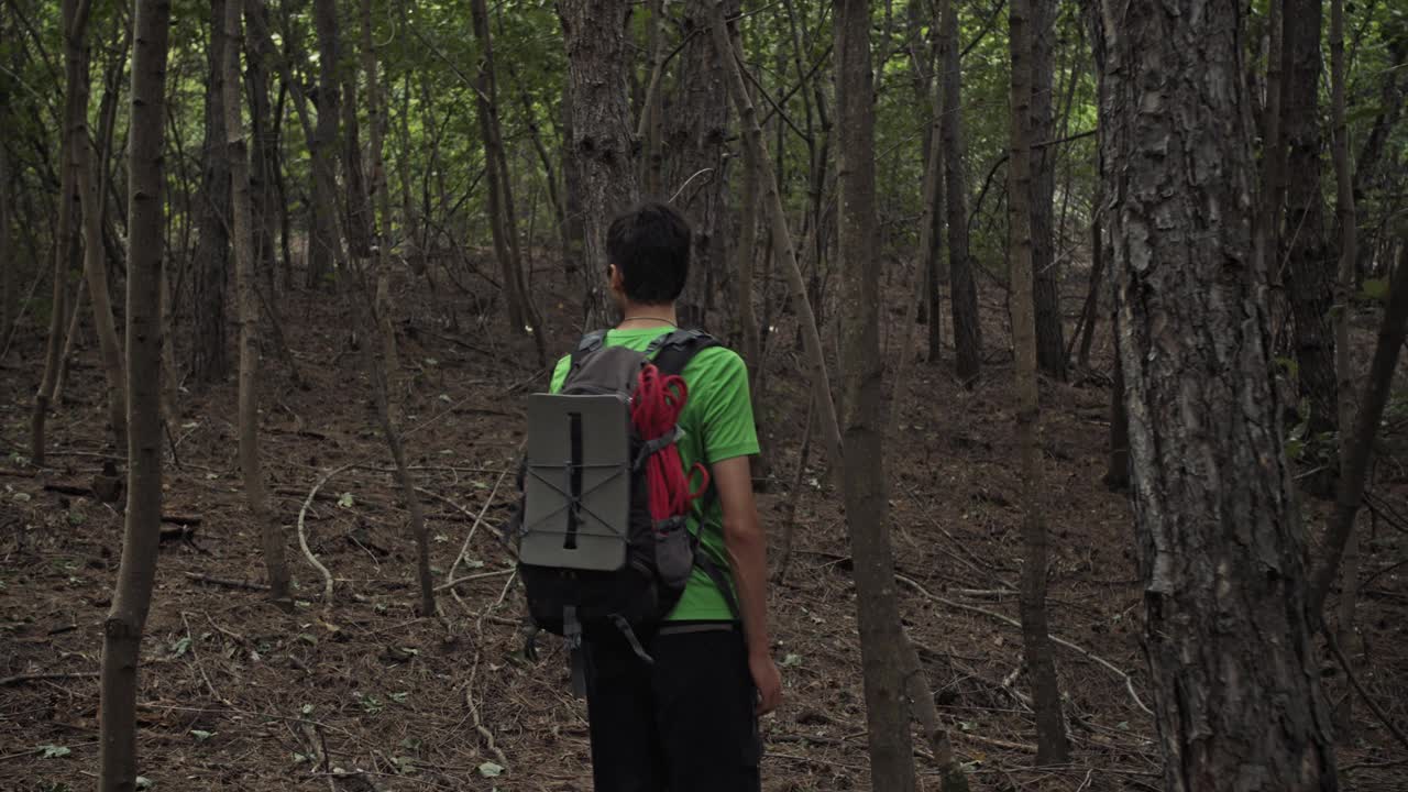 一个背着背包的男人独自穿过树林视频素材