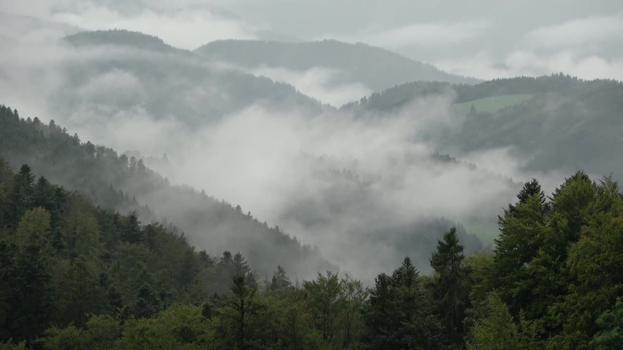 雾和云弥漫森林和田野，秋天视频素材