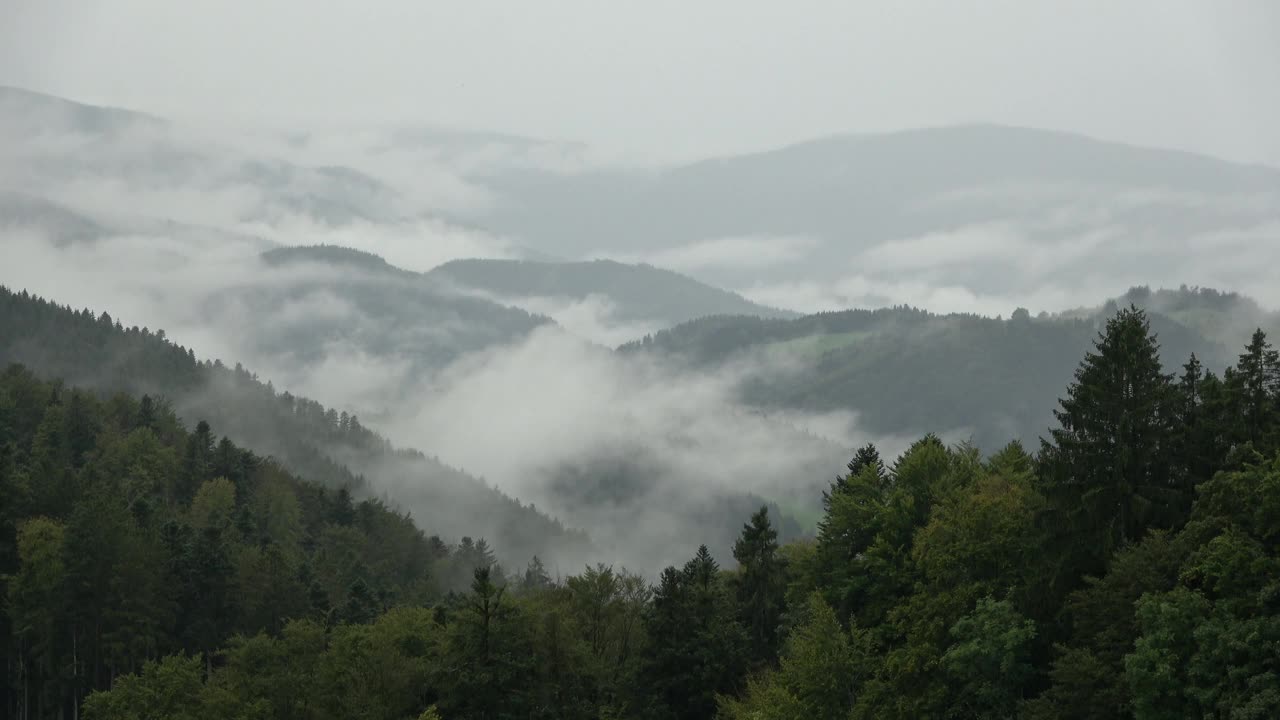 雾和云弥漫森林和田野，秋天视频素材